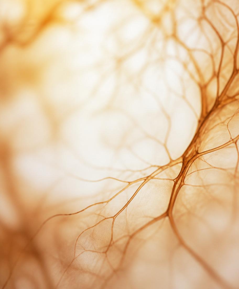 Nerve Damage